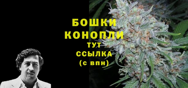 spice Алексин
