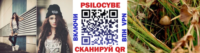 Галлюциногенные грибы GOLDEN TEACHER  купить наркоту  Анапа 